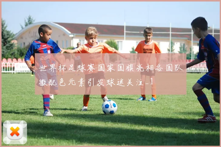 世界杯足球赛国家国旗亮相各国队徽配色元素引发球迷关注_1
