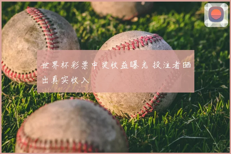 世界杯彩票中奖收益曝光 投注者晒出真实收入