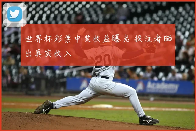 世界杯彩票中奖收益曝光 投注者晒出真实收入