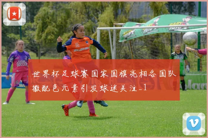 世界杯足球赛国家国旗亮相各国队徽配色元素引发球迷关注_1