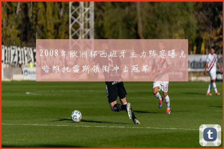 2008年欧洲杯西班牙主力阵容曝光 哈维托雷斯领衔冲击冠军
