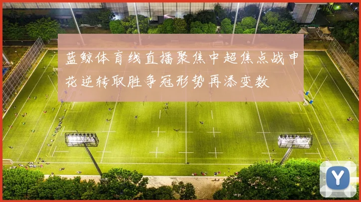 蓝鲸体育线直播聚焦中超焦点战申花逆转取胜争冠形势再添变数