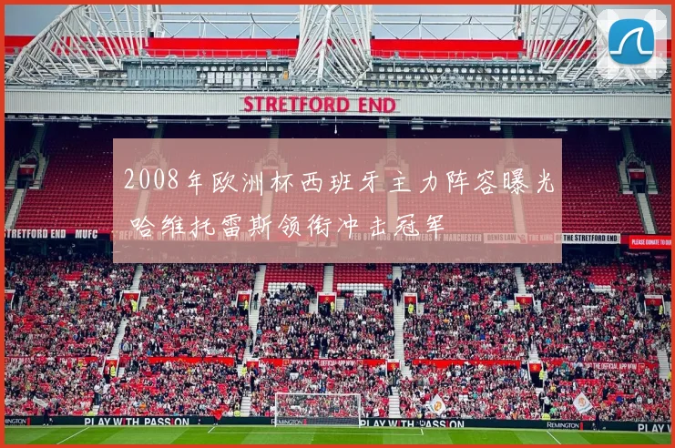 2008年欧洲杯西班牙主力阵容曝光 哈维托雷斯领衔冲击冠军