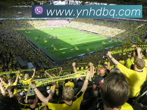 App Interface Preview