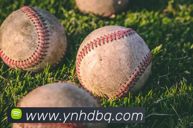 买球官方APP 封面图